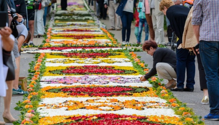 „Spycimierskie Boże Ciało”, barwne dywany kwiatów na procesji, są na światowej liście UNESCO.